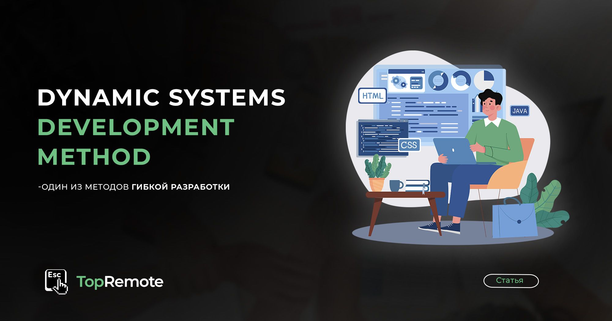 Dynamic Systems Development Method.